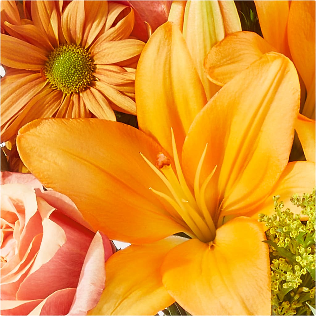 Harvest Hayride Bouquet –  Flowers Unlimited, Martinsburg WV