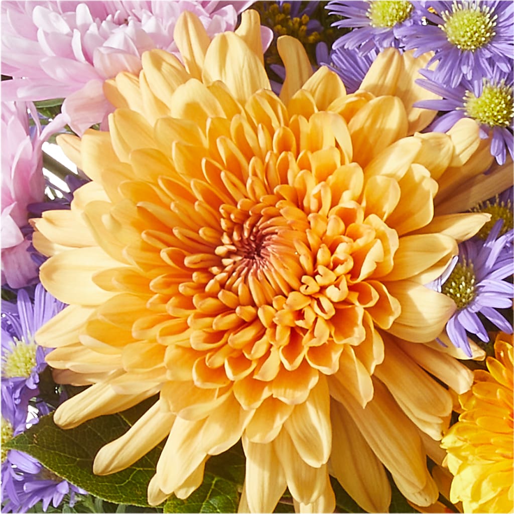 Countryside Bouquet –  Flowers Unlimited, Martinsburg WV