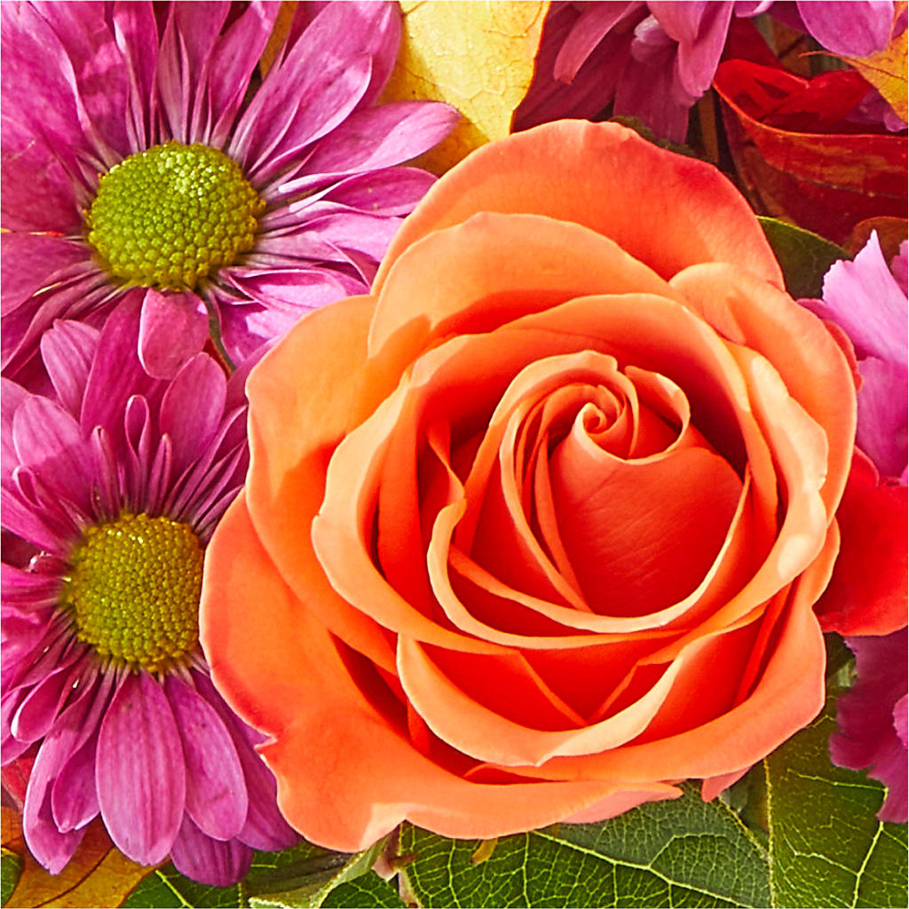 Mum's the Word Bouquet –  Flowers Unlimited, Martinsburg WV