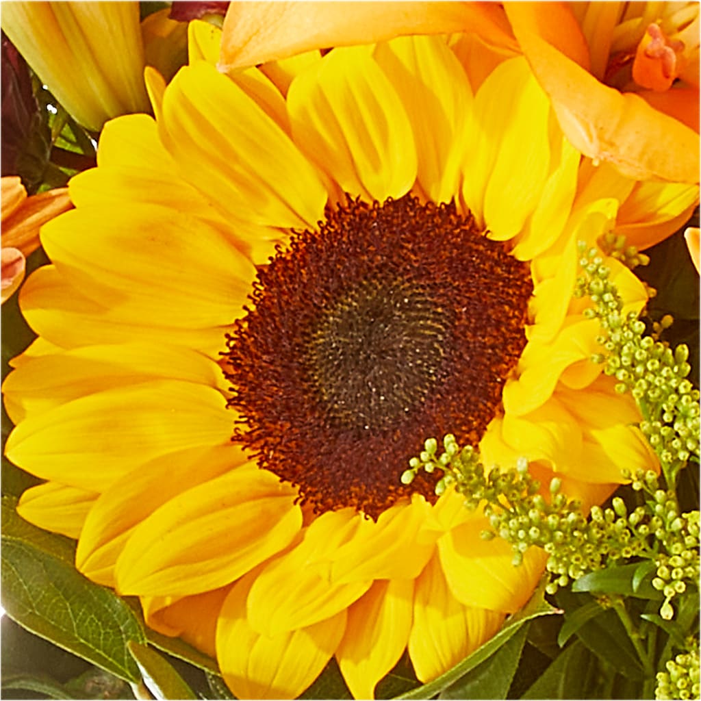 Seasons Change Bouquet –  Flowers Unlimited, Martinsburg WV