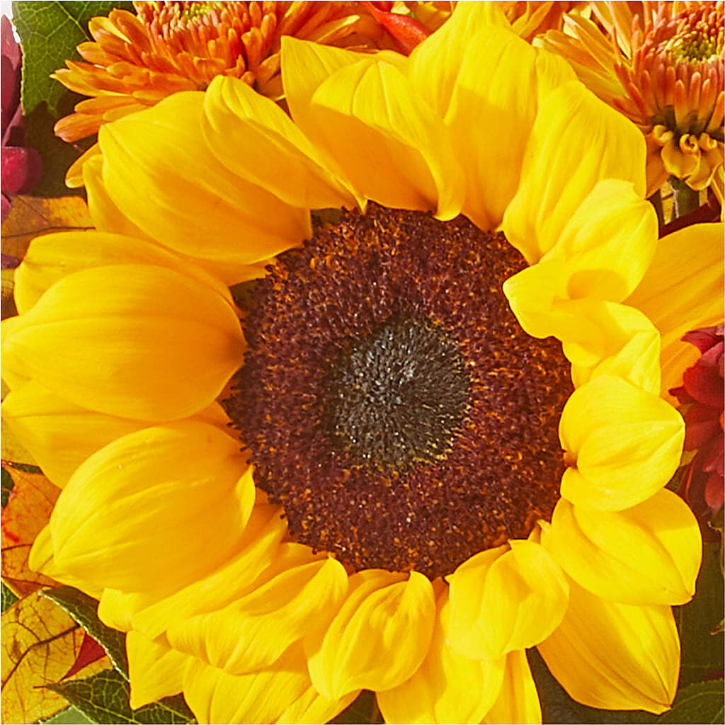 Sunny Side Bouquet –  Flowers Unlimited, Martinsburg WV