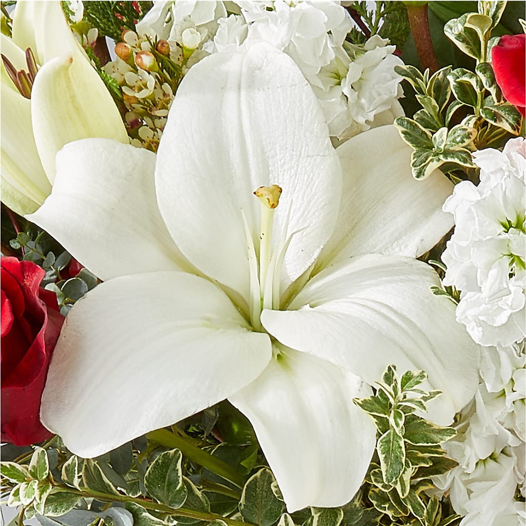 Twinkle Lights Bouquet –  Flowers Unlimited, Martinsburg WV