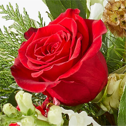 Deck the Halls Bouquet –  Flowers Unlimited, Martinsburg WV