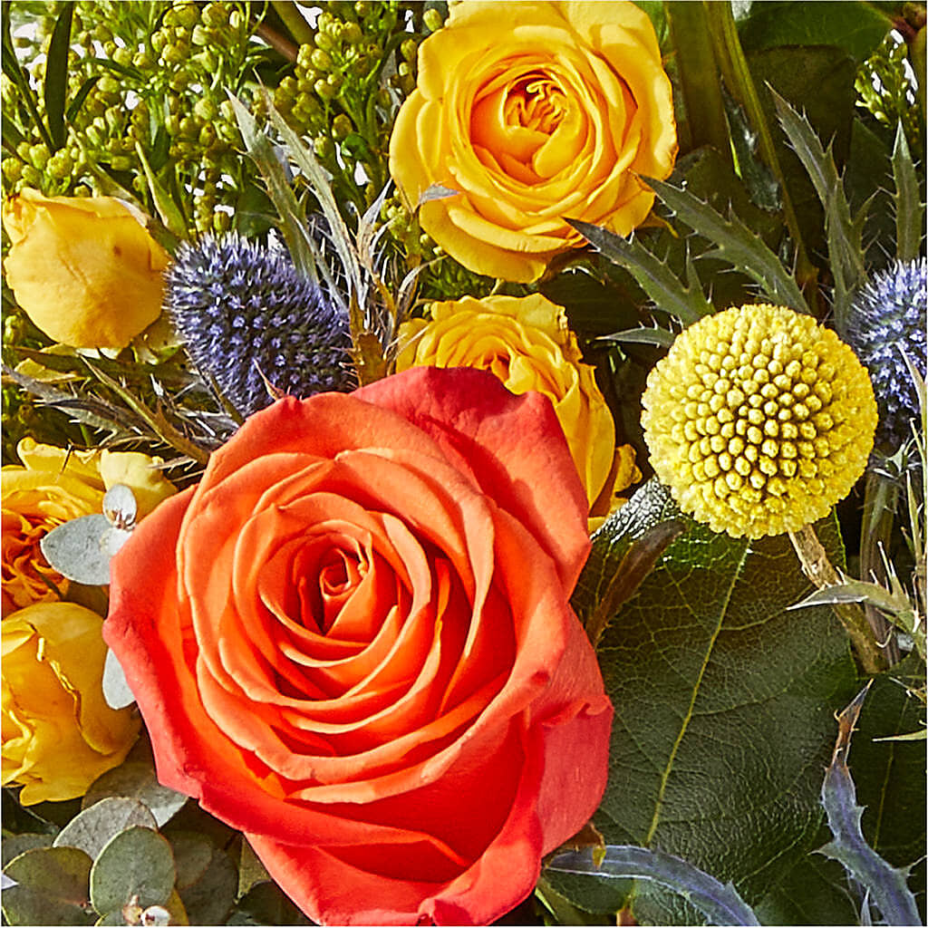 Disco Bouquet –  Flowers Unlimited, Martinsburg WV