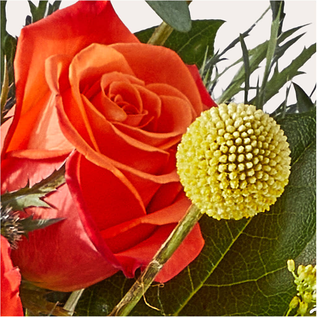Disco Bouquet –  Flowers Unlimited, Martinsburg WV