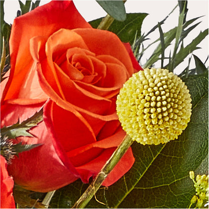Disco Bouquet –  Flowers Unlimited, Martinsburg WV