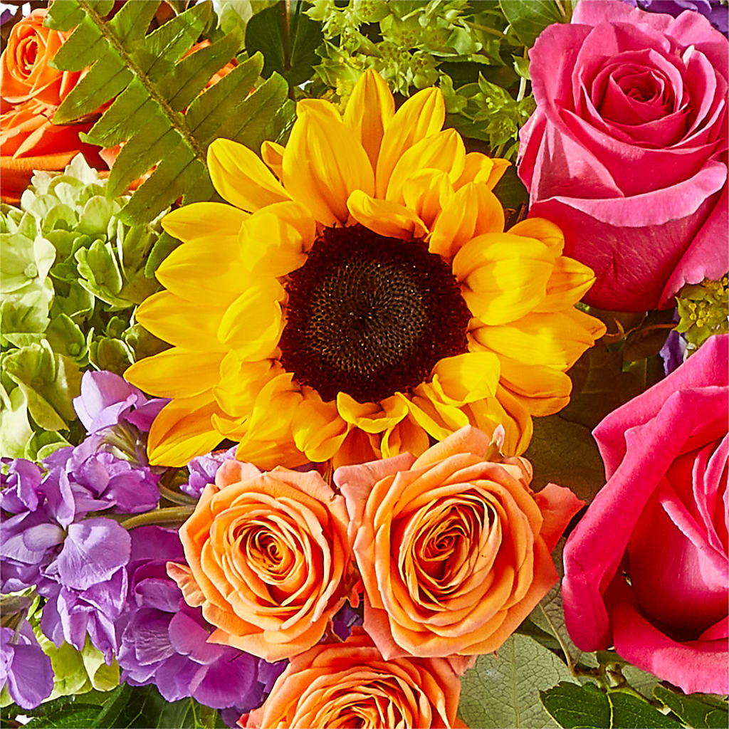Vibrant Greetings Bouquet –  Flowers Unlimited, Martinsburg WV