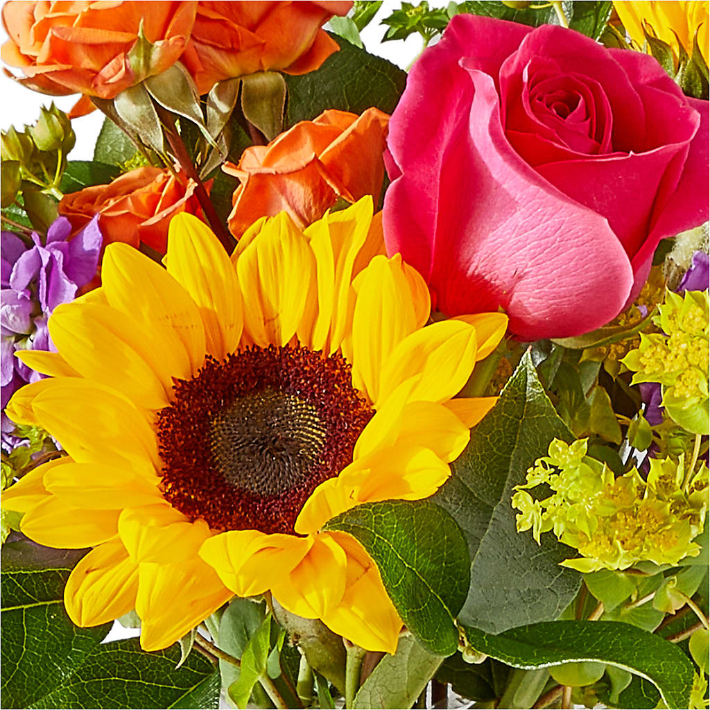 Vibrant Greetings Bouquet –  Flowers Unlimited, Martinsburg WV
