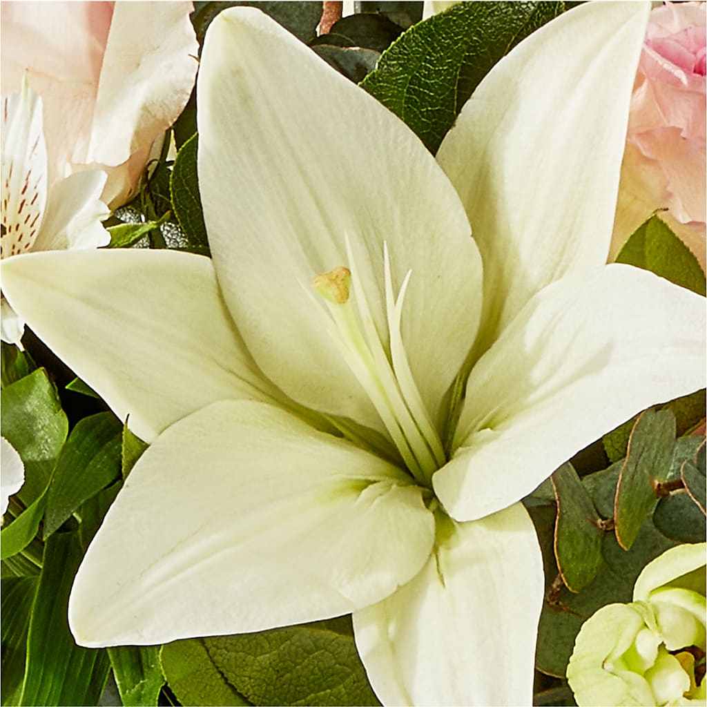 Ballet Slippers Bouquet –  Flowers Unlimited, Martinsburg WV