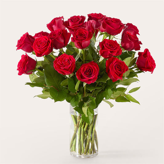 The One Red Rose Bouquet – FLOWERS UNLIMITED, Martinsburg WV