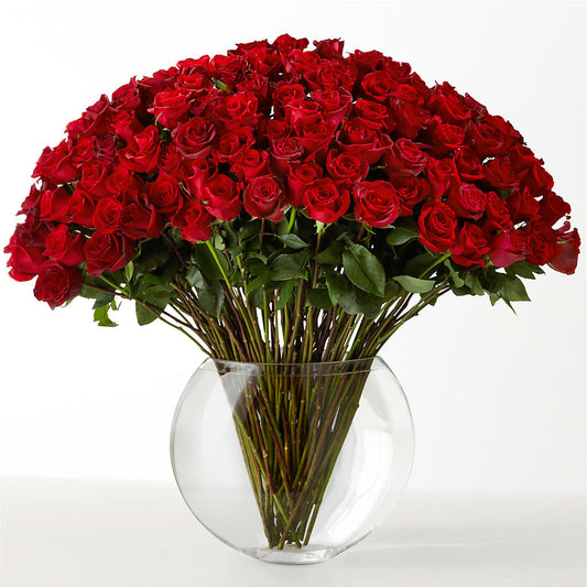 The Idealist –  Flowers Unlimited, Martinsburg WV