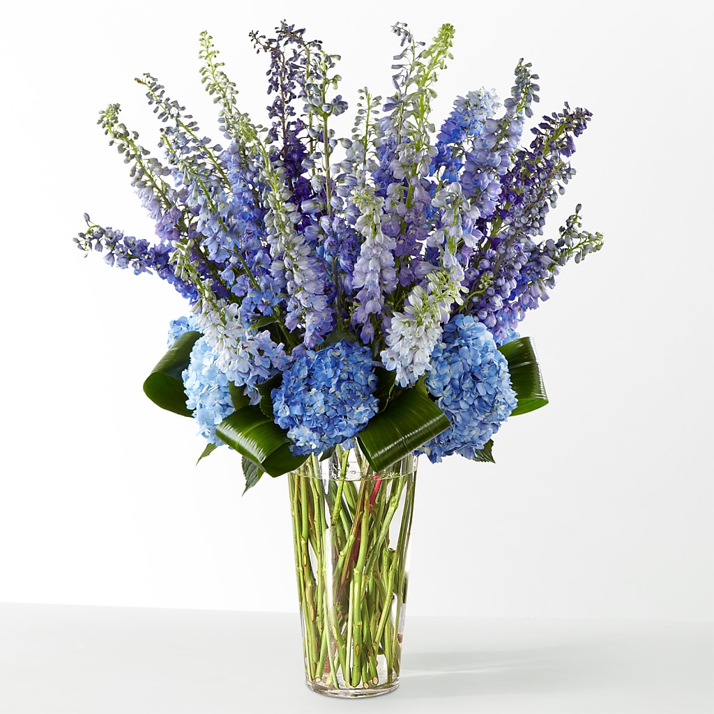 The Editorial –  Flowers Unlimited, Martinsburg WV