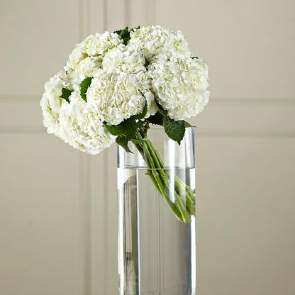 White Hydrangea Hand-Tied Bouquet –  Flowers Unlimited, Martinsburg WV
