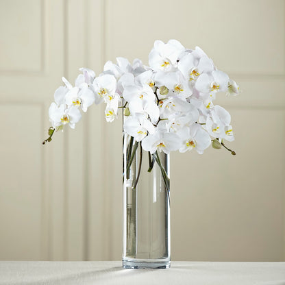 White Phalaenopsis Bouquet –  Flowers Unlimited, Martinsburg WV