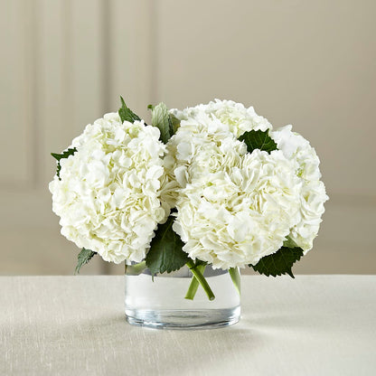White Hydrangea Bouquet –  Flowers Unlimited, Martinsburg WV